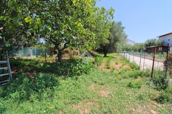 terreno agricolo in vendita a Loreto in zona Villa Musone