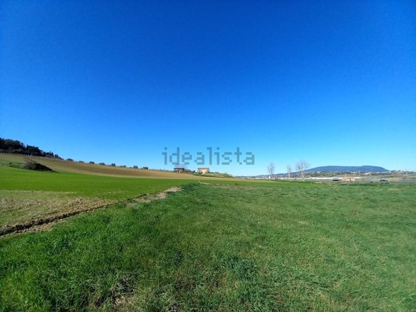 terreno agricolo in vendita a Loreto