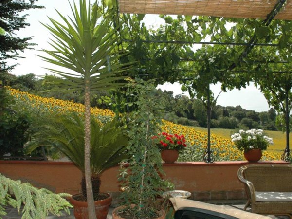 casa indipendente in vendita a Loreto