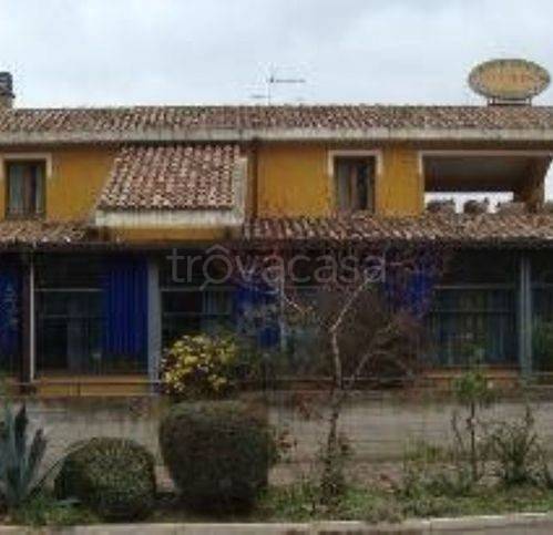 negozio in vendita a Loreto