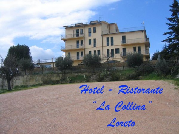 negozio in vendita a Loreto