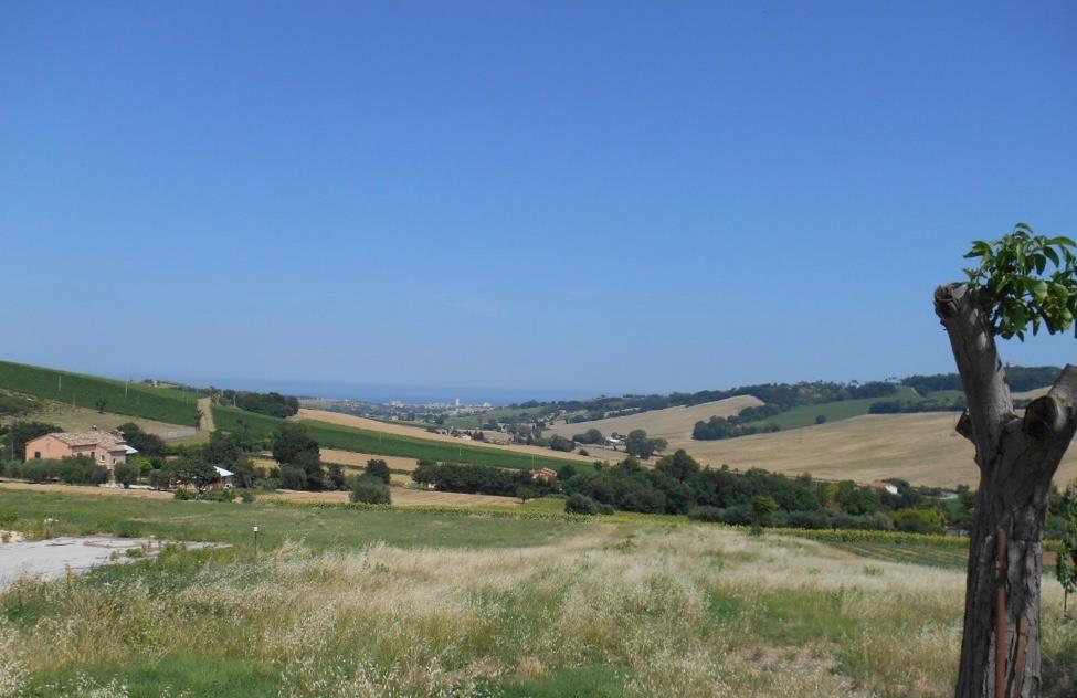 terreno agricolo in vendita a Loreto in zona Costabianca