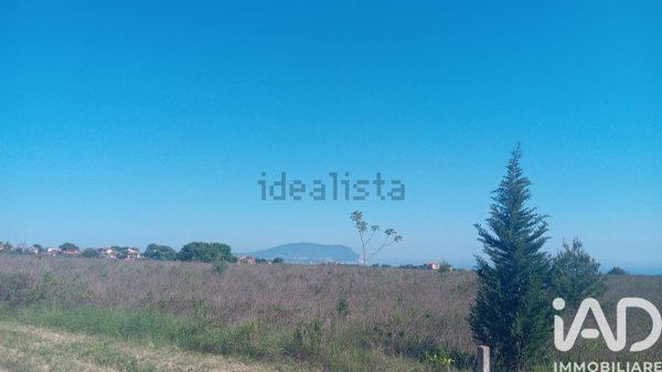 terreno agricolo in vendita a Loreto