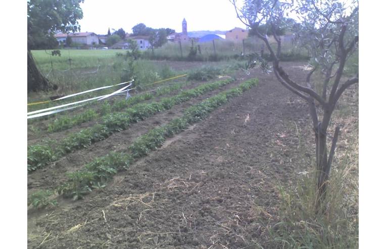 terreno agricolo in vendita a Loreto