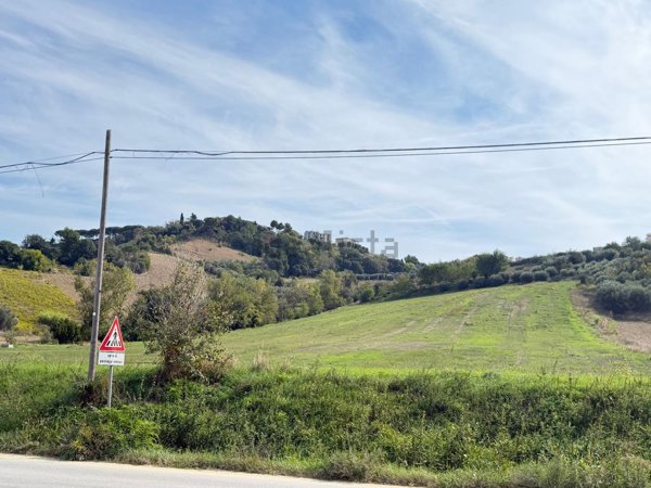 terreno agricolo in vendita a Loreto in zona Villa Musone