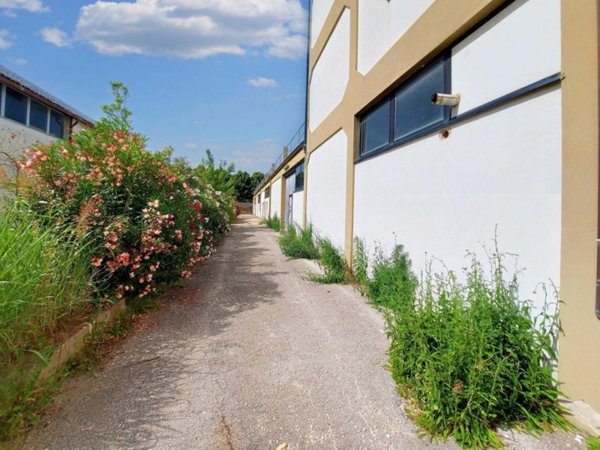 capannone in vendita a Maiolati Spontini in zona Scorcelletti