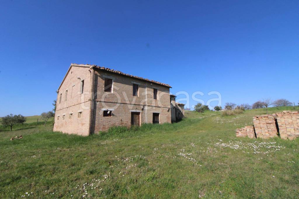 terreno agricolo in vendita a Maiolati Spontini in zona Monteschiavo