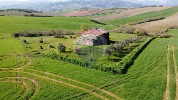 terreno agricolo in vendita a Maiolati Spontini in zona Scorcelletti