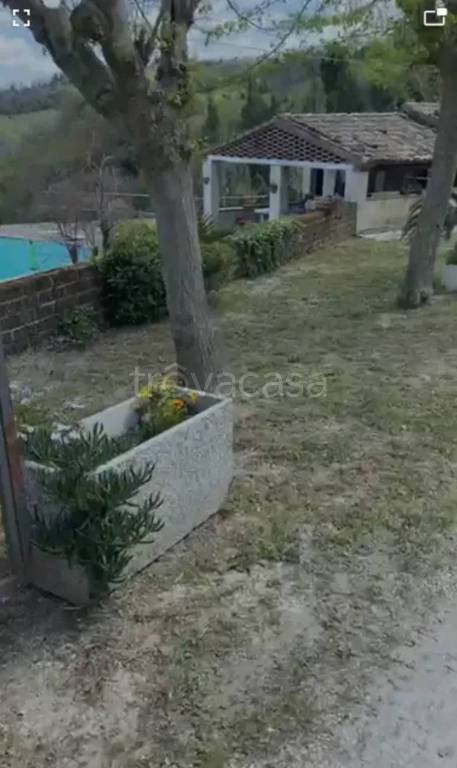 immagine annuncio 0 di 15