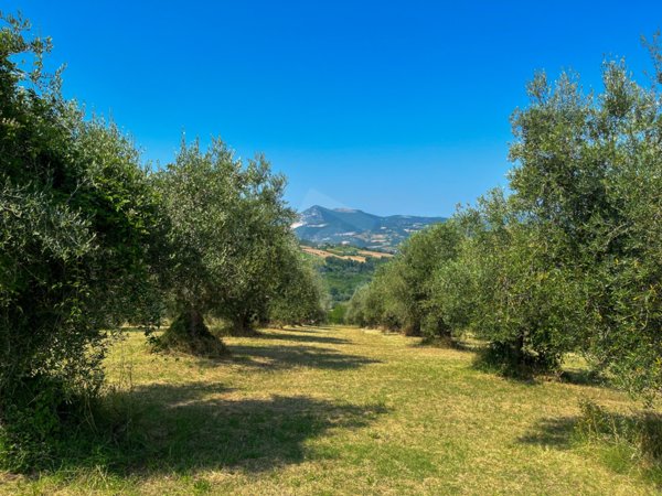 casa indipendente in vendita a Maiolati Spontini