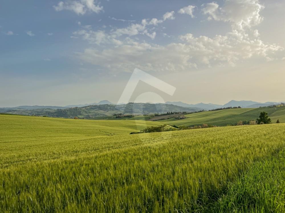 casale in vendita a Maiolati Spontini