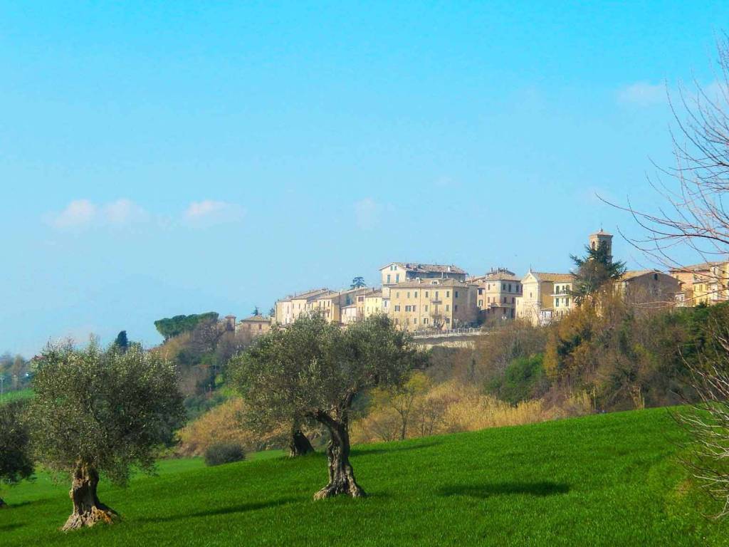appartamento in vendita a Maiolati Spontini