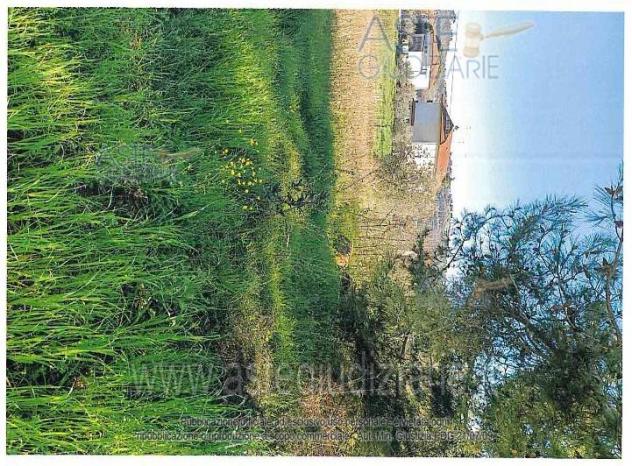 terreno agricolo in vendita a Maiolati Spontini in zona Moie