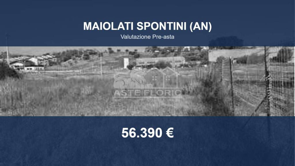 terreno agricolo in vendita a Maiolati Spontini in zona Moie