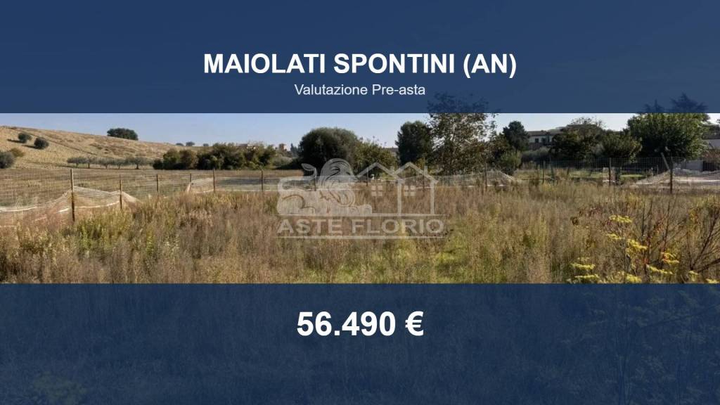 terreno agricolo in vendita a Maiolati Spontini in zona Moie