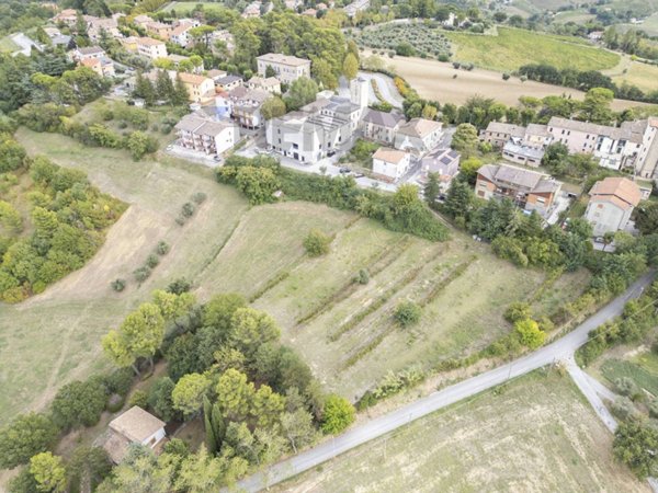 terreno agricolo in vendita a Maiolati Spontini