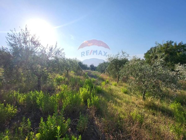 terreno agricolo in vendita a Mergo