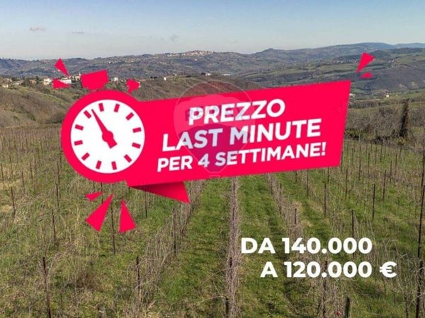 terreno agricolo in vendita a Mergo