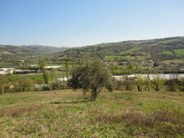 terreno agricolo in vendita a Mergo