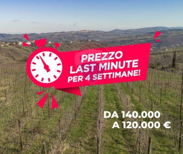 terreno agricolo in vendita a Mergo