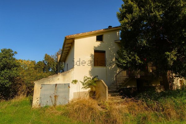 esavano in vendita a Mergo