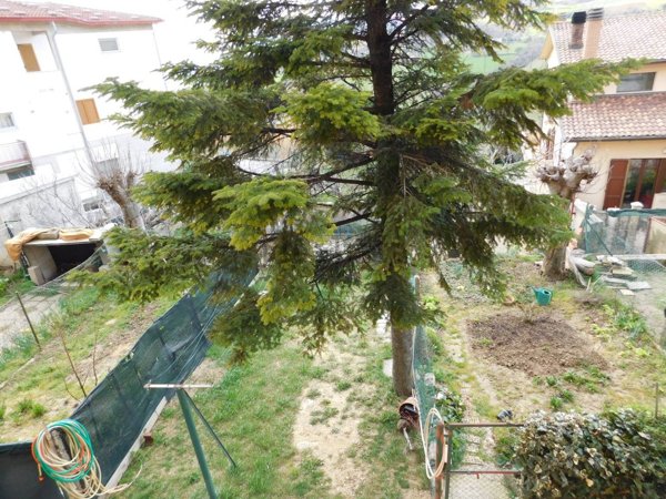 appartamento in vendita a Mergo