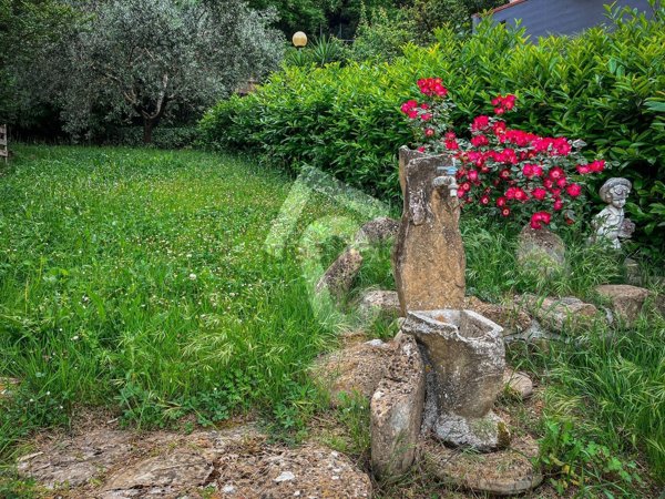 appartamento in vendita a Mergo