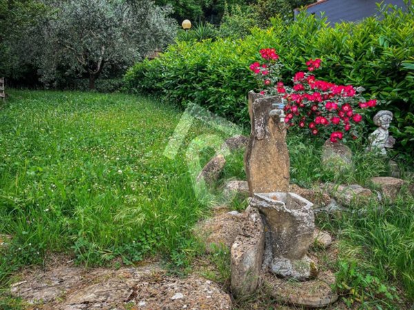 appartamento in vendita a Mergo