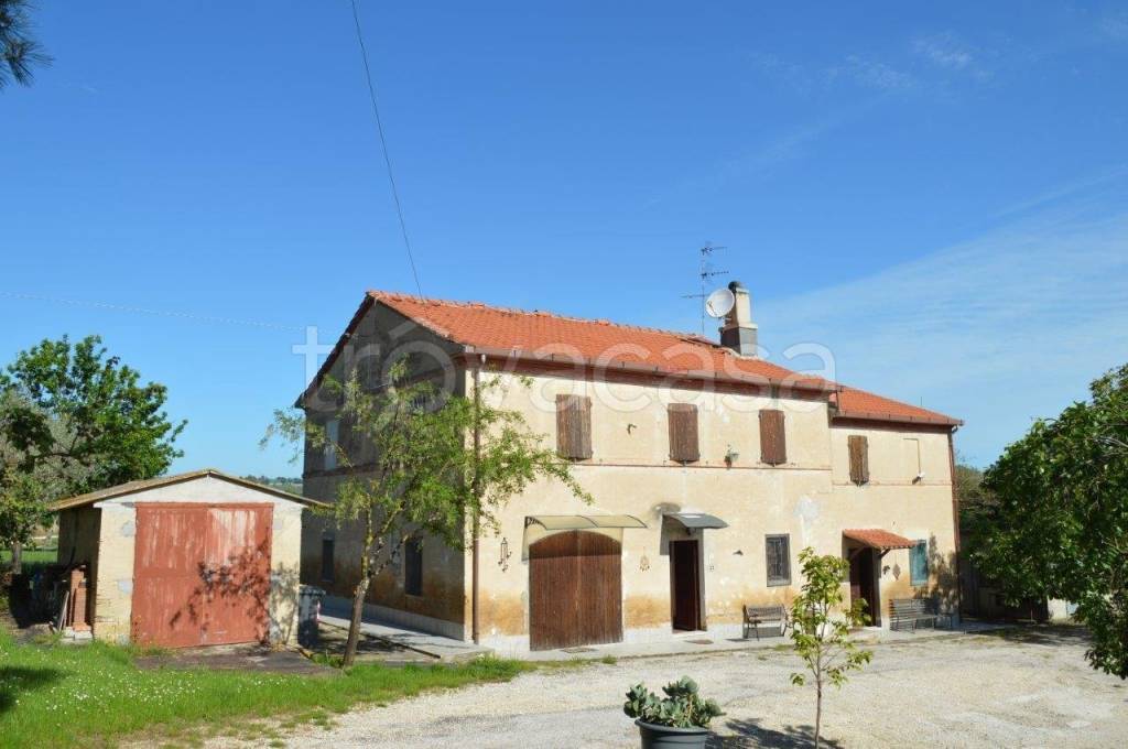 casa indipendente in vendita a Monsano