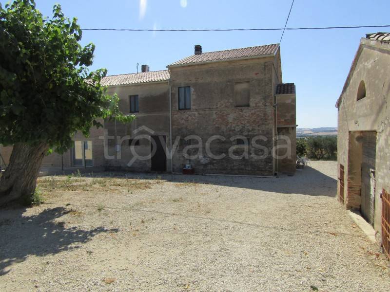 casa indipendente in vendita a Monsano
