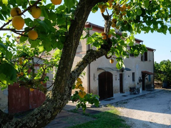 casa indipendente in vendita a Monsano