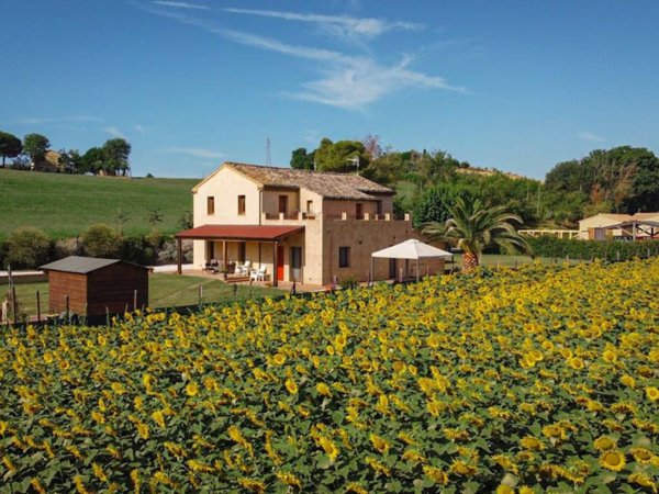 casa indipendente in vendita a Monsano