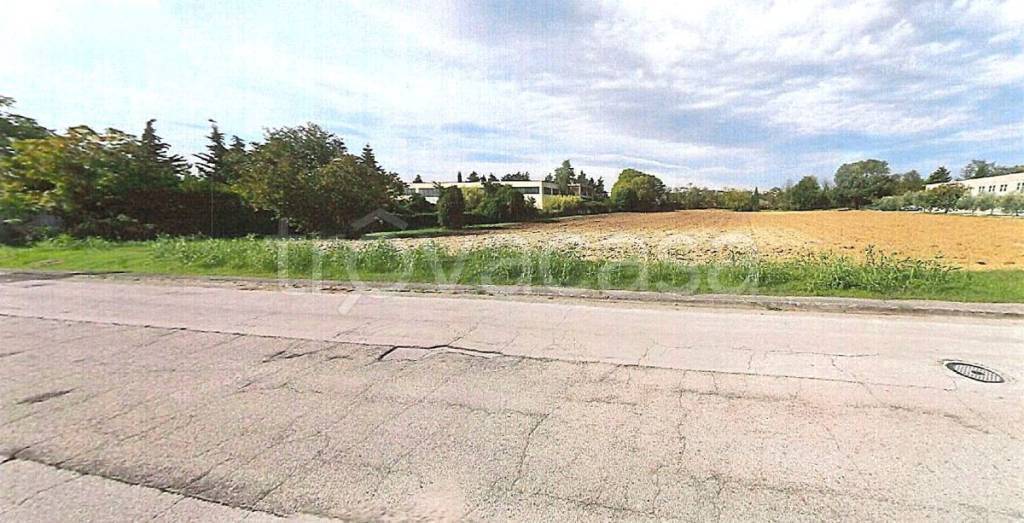 terreno agricolo in vendita a Monsano