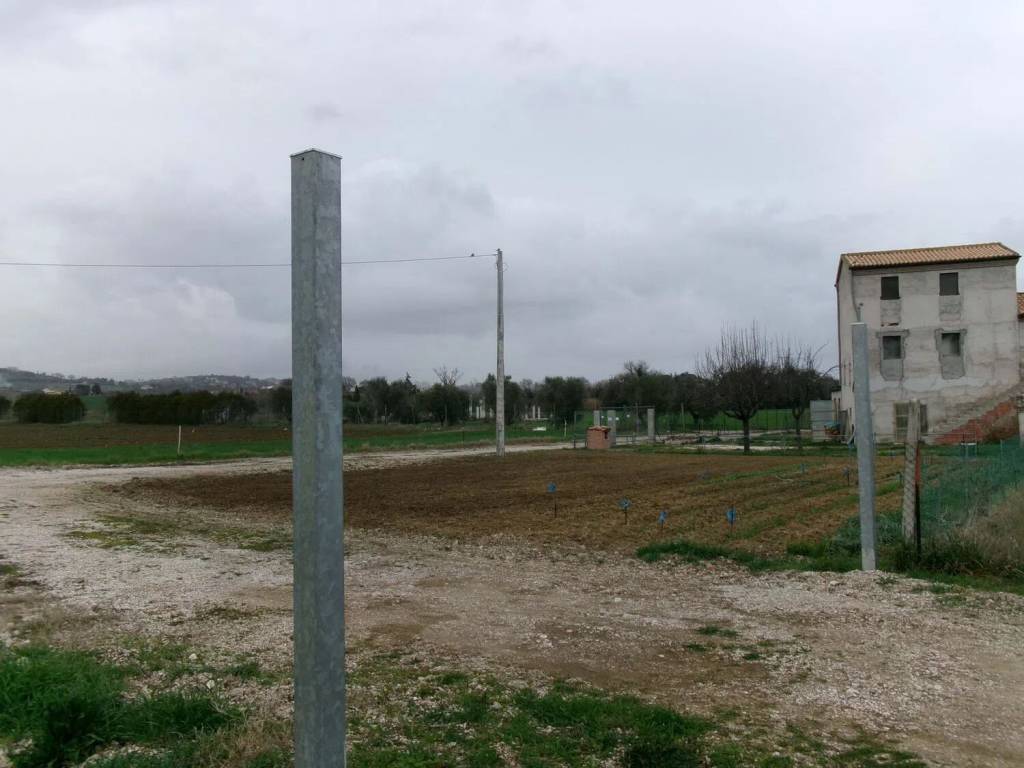 casa indipendente in vendita a Monsano