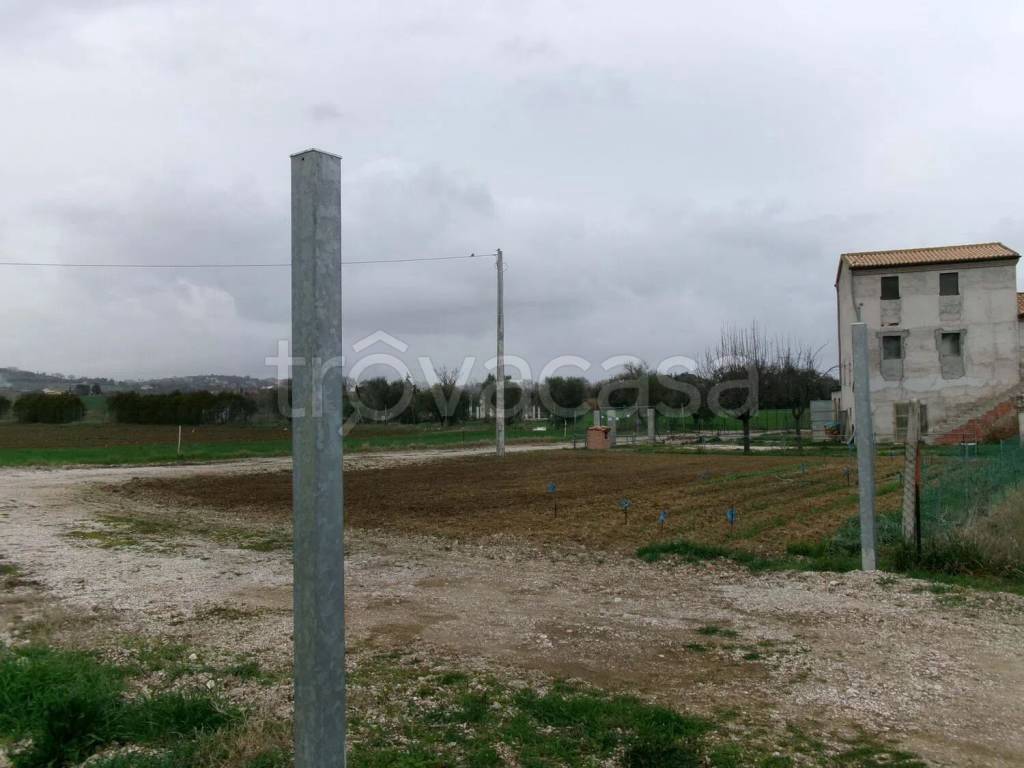 casa indipendente in vendita a Monsano