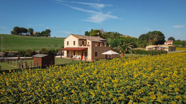 casa indipendente in vendita a Monsano