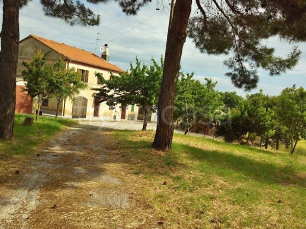 casa indipendente in vendita a Monsano