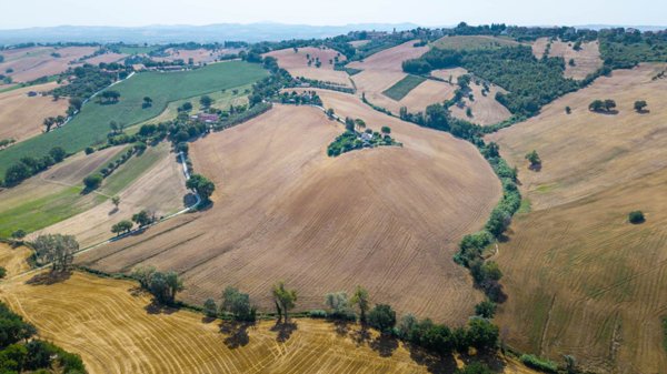 casa indipendente in vendita a Monsano