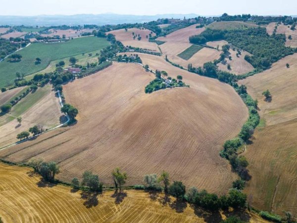 terreno agricolo in vendita a Monsano