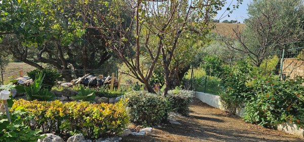 casa indipendente in vendita a Monsano