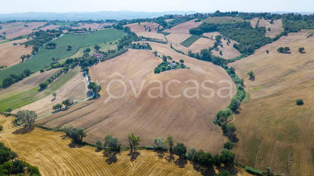 terreno agricolo in vendita a Monsano