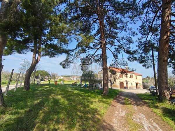 casa indipendente in vendita a Monsano