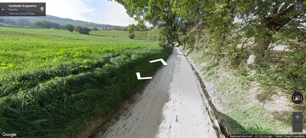 terreno agricolo in vendita a Montecarotto