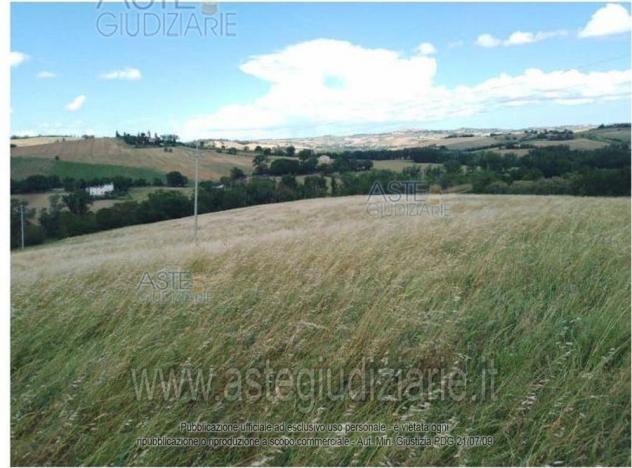 terreno agricolo in vendita a Montecarotto