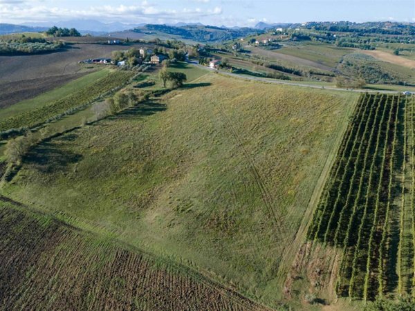 terreno agricolo in vendita a Montecarotto