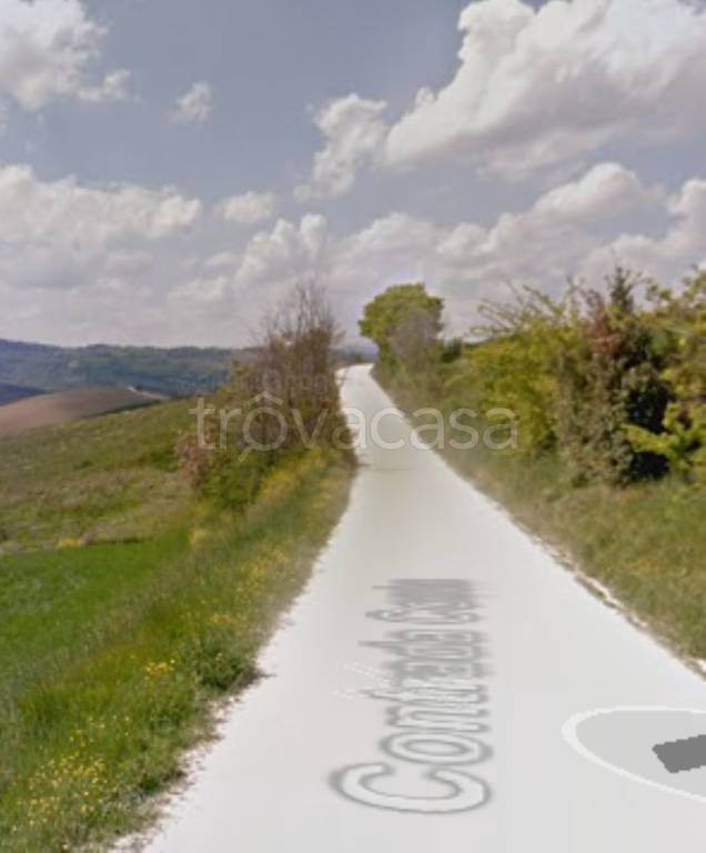 terreno agricolo in vendita a Montecarotto