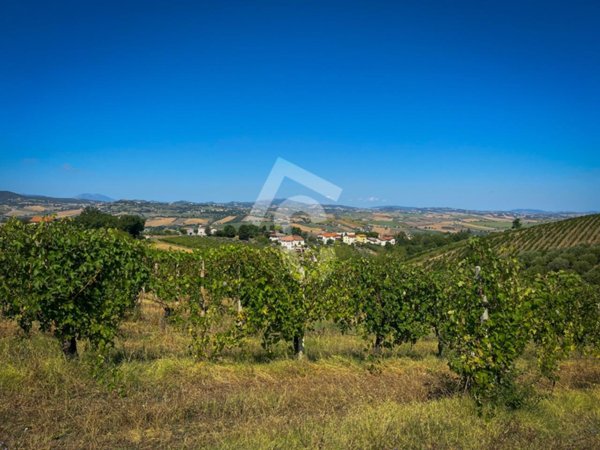 casa indipendente in vendita a Montecarotto