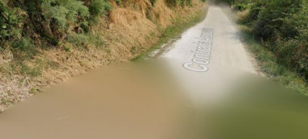 terreno agricolo in vendita a Montecarotto