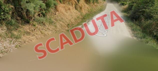 terreno agricolo in vendita a Montecarotto