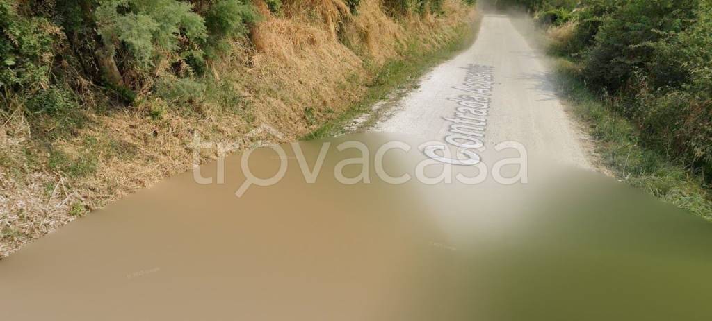 terreno agricolo in vendita a Montecarotto